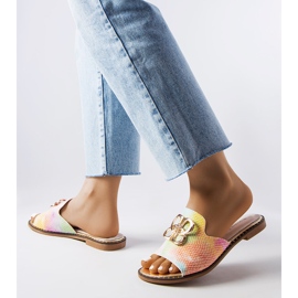 Goodin Lea regnbågsspänne glider mångfärgad 2