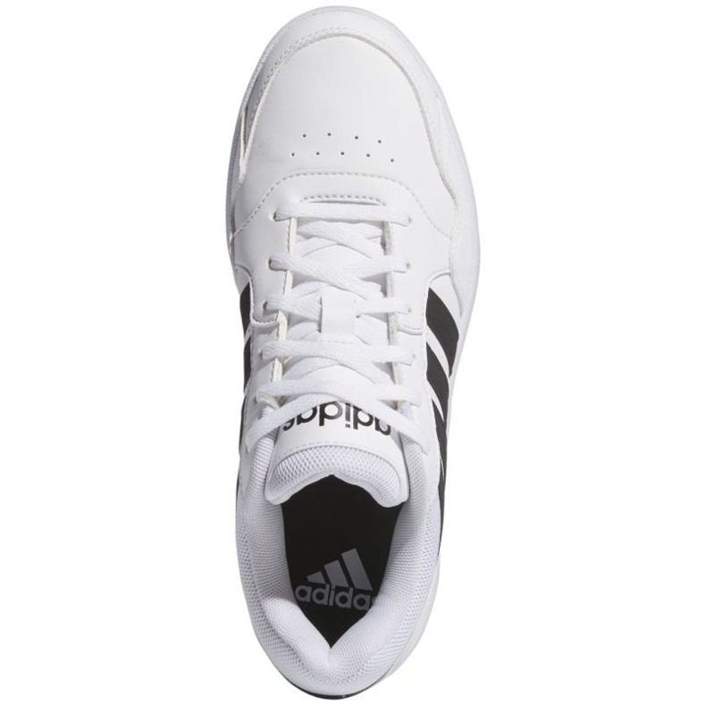 Adidas Hoops 3.0 Bold IG6115 skor vit 1
