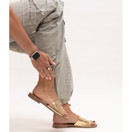 Almeita guldspänne diabilder gyllene 1