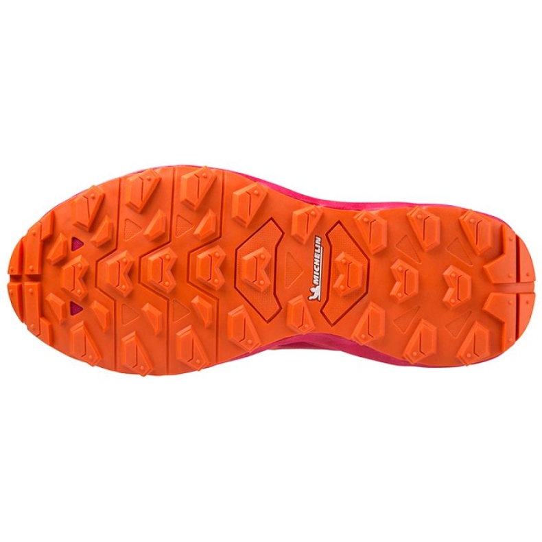 Mizuno Wave Daichi 7 Gtx J1GK225672 skor rosa 1