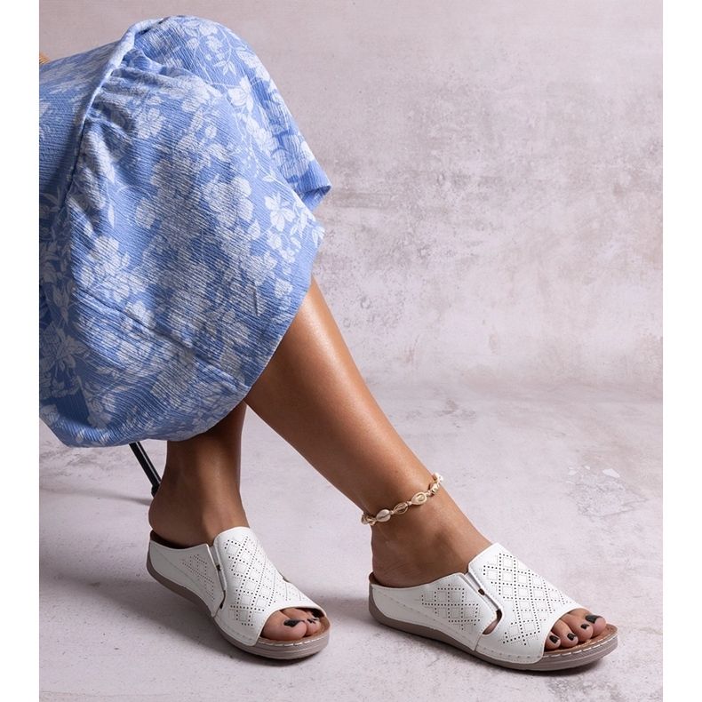 Marouna vita perforerade diabilder 1