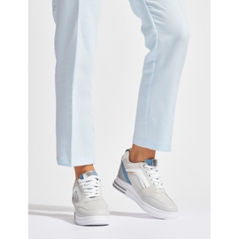 Gråa damskor med en dold kil 2