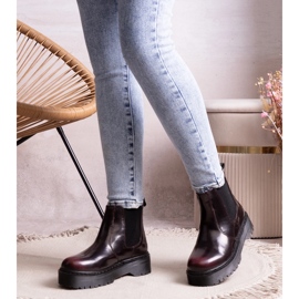 Vinröda platåkängor från Lessaya 1