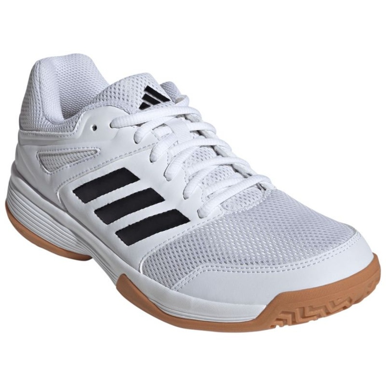 Adidas Speedcourt I IH3159 volleybollskor vit 1