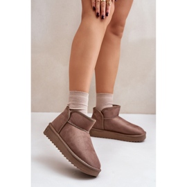 D.Franklin DFSH370010 Taupe snökängor beige 1