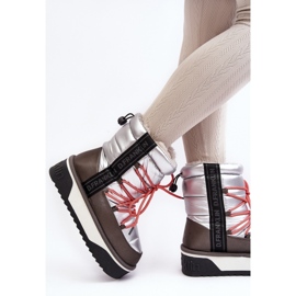 DFSH371006 Silver snökängor silver- 2