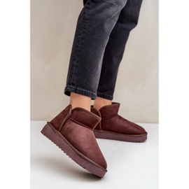 Isolerade snöstövlar för damer D.Franklin DFSH370010 brun 1