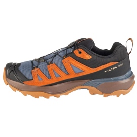 Salomon X Ultra 360 LTR GTX L47684900 Trekking Shoes brun 1