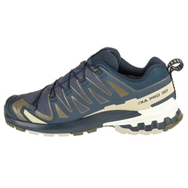 Salomon XA Pro 3D V9 GTX L47823000 Löpskor grå 1