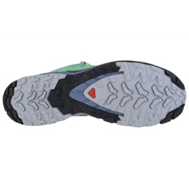 Salomon XA Pro 3D V9 47271900 Rinnande skor grå 3