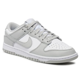 Nike Dunk Low Retro DD1391-103 skor grå 1