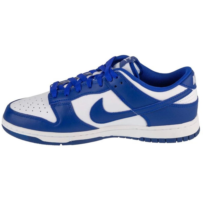 Nike Dunk Low Retro DV0833-103 Skor vit 1