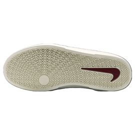 Nike SB Malor FV6064-102 skor beige 2