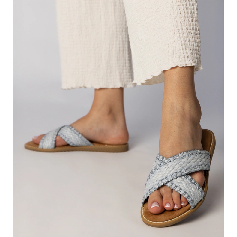 Blå kvinnliga tofflor 1