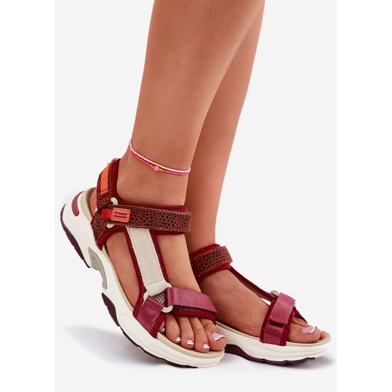 Kvinnors kardborrsandaler D.Franklin DFSH406003 Bourgogne röd 1