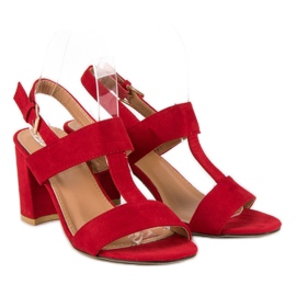 SDS Röda sandaler på en stolpe 1