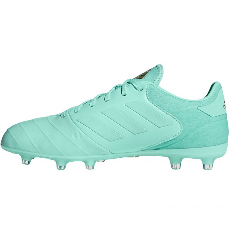 Adidas Copa 18.2 FG M DB2446 fotbollsskor blå 2