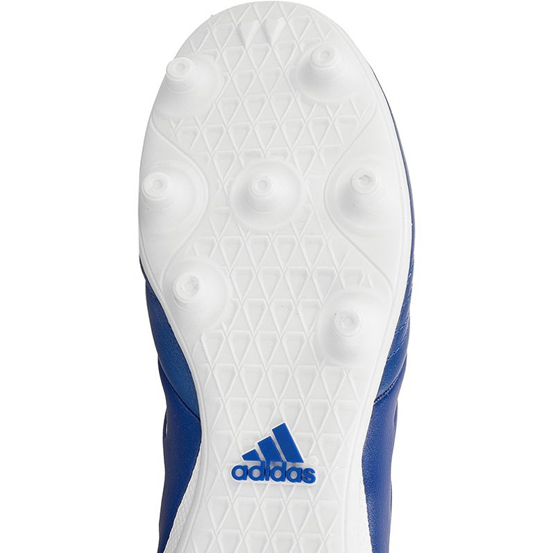 Adidas Copa 17.3 Fg M BA9717 fotbollsskor blå blå 1