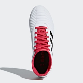 Adidas Predator 18.3 Fg Jr CP9011 fotbollsskor mångfärgad vit 2
