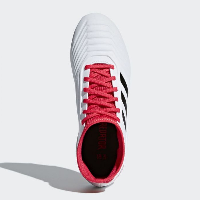 Adidas Predator 18.3 Fg Jr CP9011 fotbollsskor mångfärgad vit 2