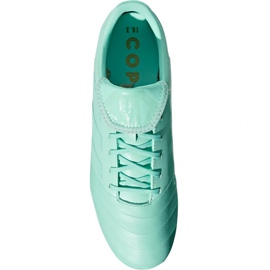 Adidas Copa 18.3 Fg M DB2462 fotbollsskor blå blå 1