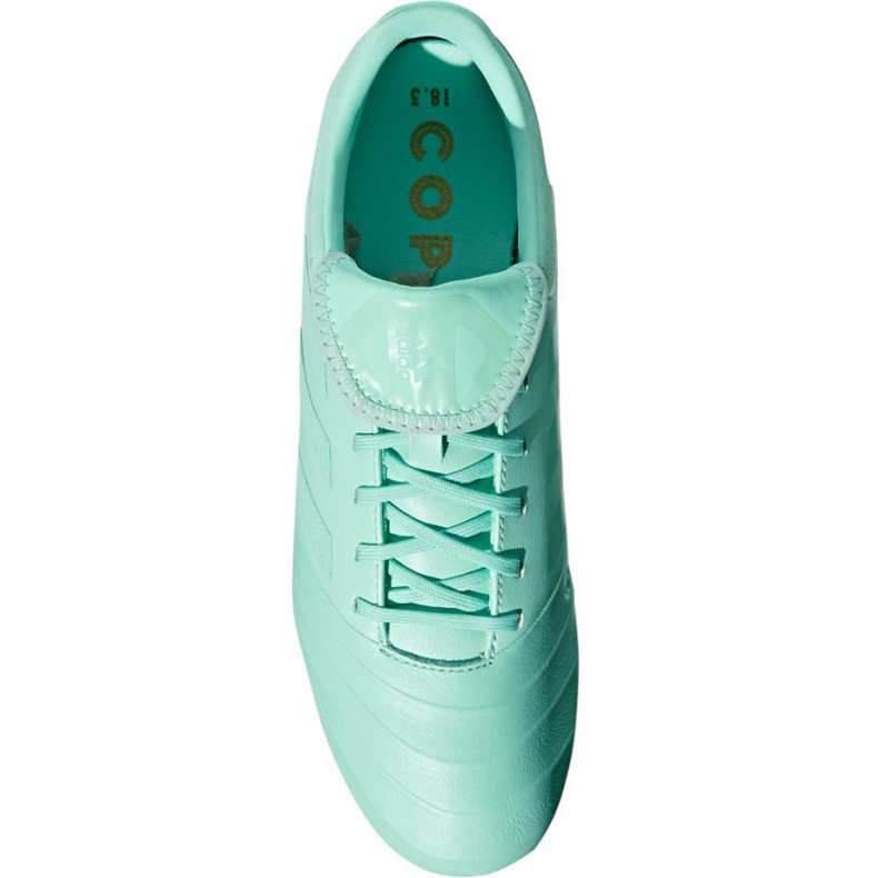 Adidas Copa 18.3 Fg M DB2462 fotbollsskor blå blå 1