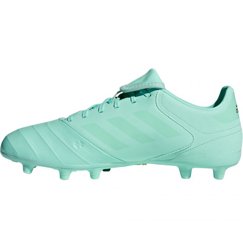 Adidas Copa 18.3 Fg M DB2462 fotbollsskor blå blå 2