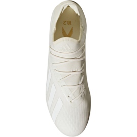 Adidas X 18.2 Fg M DB2181 fotbollsskor vit vit 2
