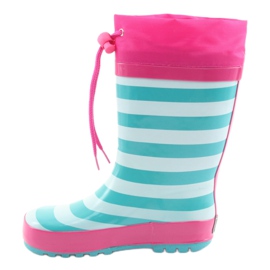 American Club Amerikanska gummistövlar. Kattunge efter utställningen rosa grön 2