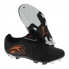 Fotbollsskor Puma Boca Fg Jr 102532 03 svart svart 1