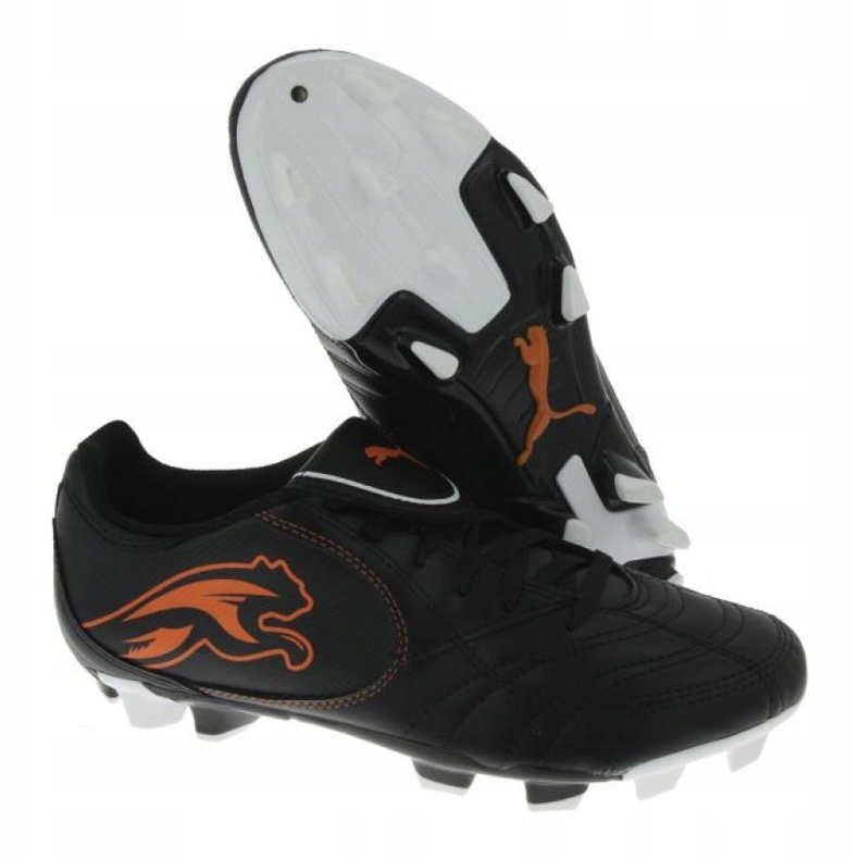 Fotbollsskor Puma Boca Fg Jr 102532 03 svart svart 1