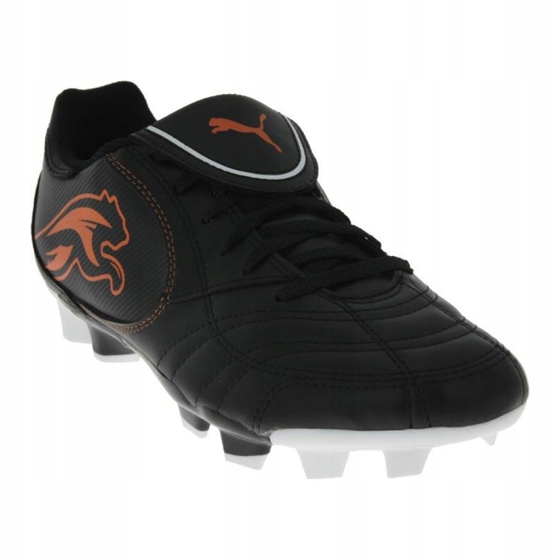 Fotbollsskor Puma Boca Fg Jr 102532 03 svart svart 2