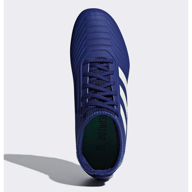 Adidas Predator 18.3 Fg Junior CP9012 fotbollsskor blå blå 2