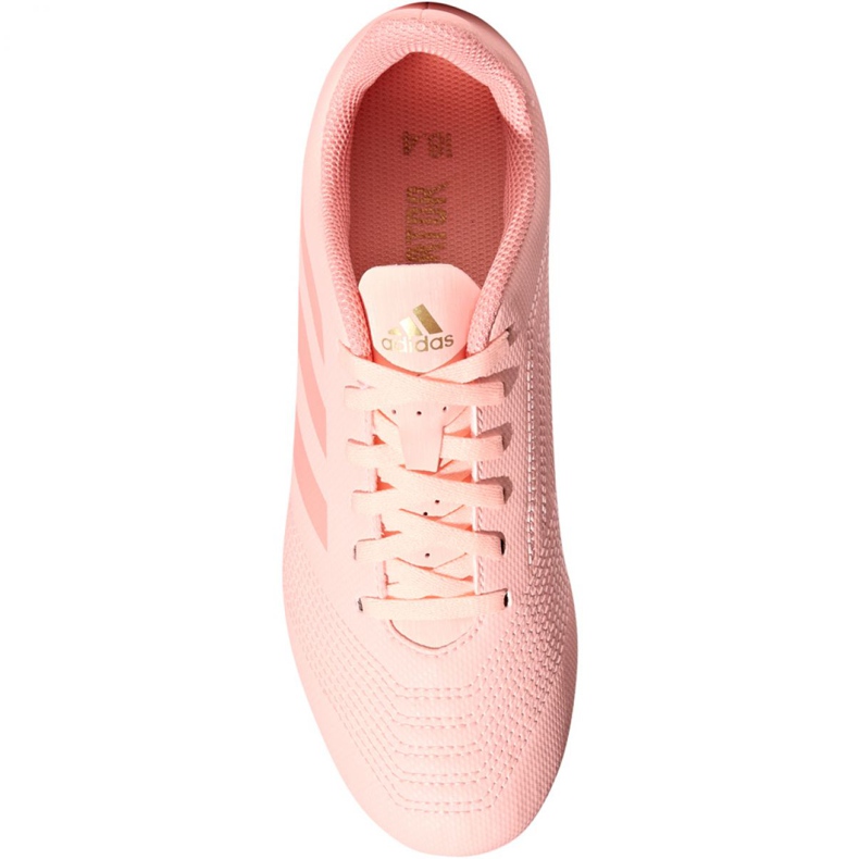 Adidas Predator 18.4 FxG Jr DB2322 fotbollsskor mångfärgad rosa 2