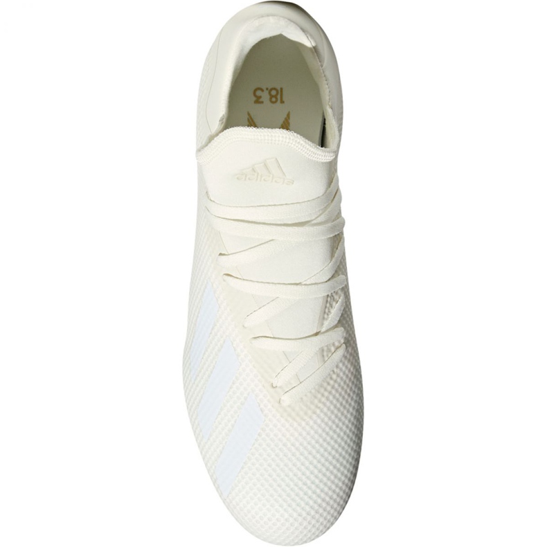Adidas X 18.3 Fg M DB2184 fotbollsskor mångfärgad vit 2