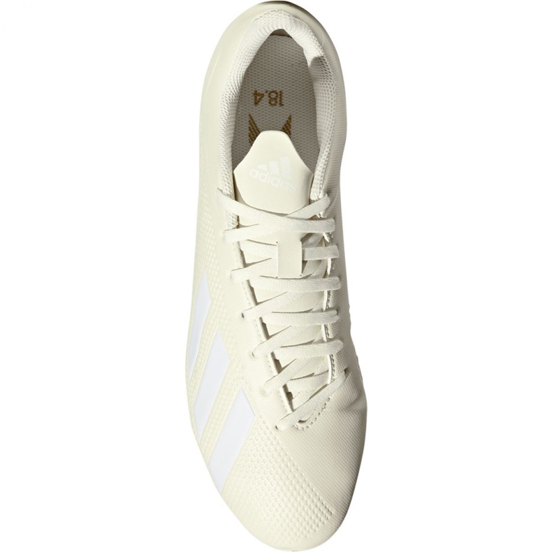 Adidas X 18.4 Fg M DB2187 fotbollsskor beige vit 2