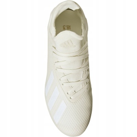 Adidas X 18.3 Fg Jr DB2417 fotbollsskor mångfärgad vit 2