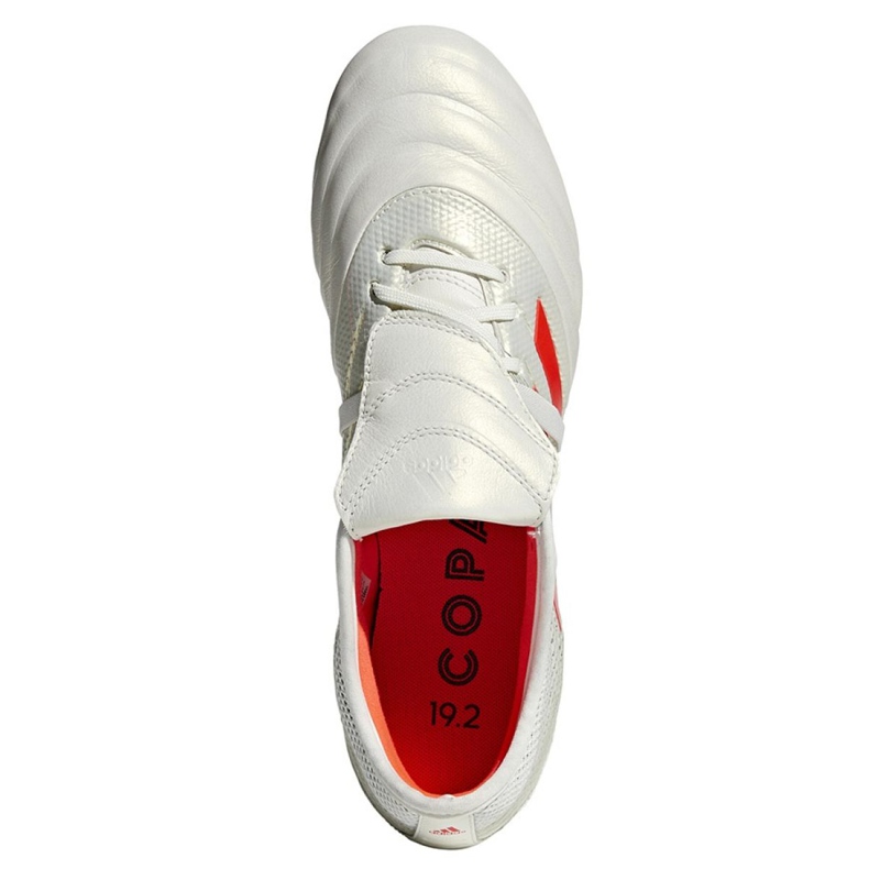 Adidas Copa Gloro 19.2 Sg M G28989 fotbollsskor mångfärgad vit 2