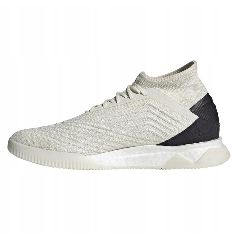Inomhusskor adidas Predator 19.1 Tr M D98056 mångfärgad vit 1