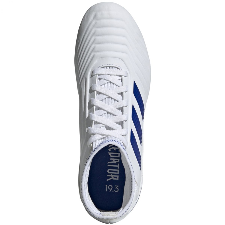 Adidas Predator 19.3 Fg Jr CM8535 fotbollsskor mångfärgad vit 2