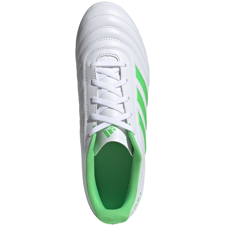 Adidas Copa 19.4 Fg M D98069 fotbollsskor mångfärgad vit 2