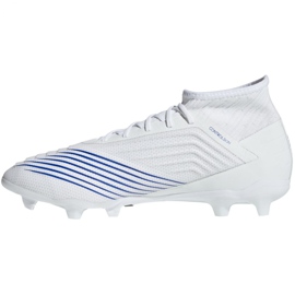 Adidas Predator 19.2 Fg M D97941 fotbollsskor mångfärgad vit 1