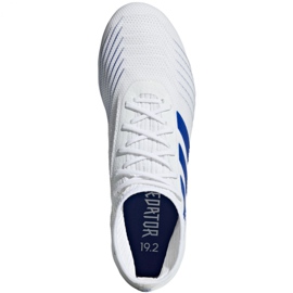 Adidas Predator 19.2 Fg M D97941 fotbollsskor mångfärgad vit 2