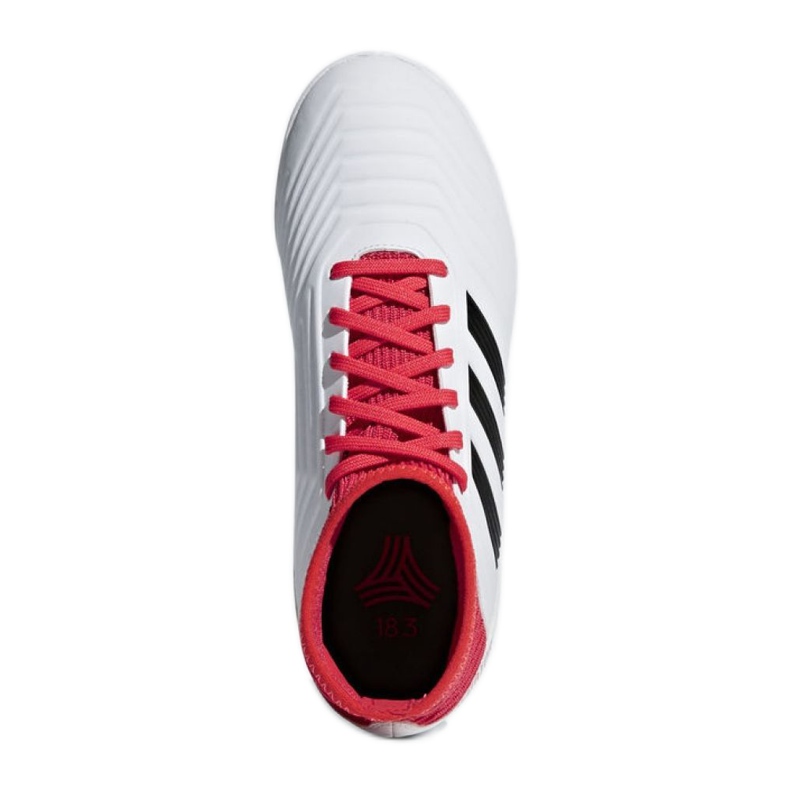 Inomhusskor adidas Predator Tango 18.3 In Jr CP9073 mångfärgad vit 2