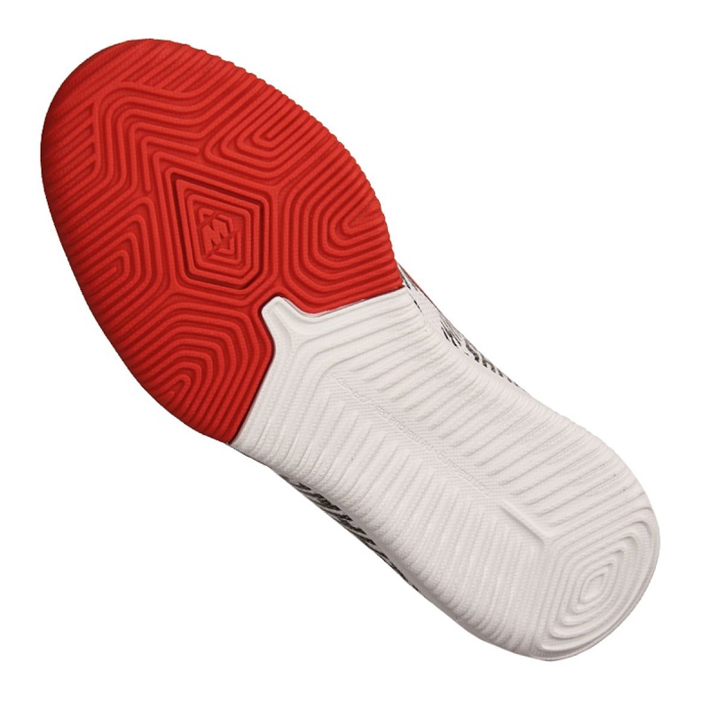 Inomhusskor Nike Jr Vapor 12 Academy Gs Njr Ic Jr AO9474-170 grå grå 2