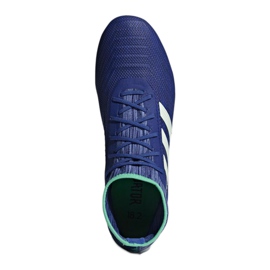 Adidas Predator 18.2 Fg M CP9293 fotbollsskor mångfärgad blå 1