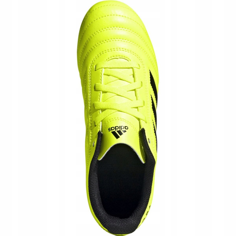 Adidas Copa 19.4 Fg Jr F35461 fotbollsskor gul gul 1