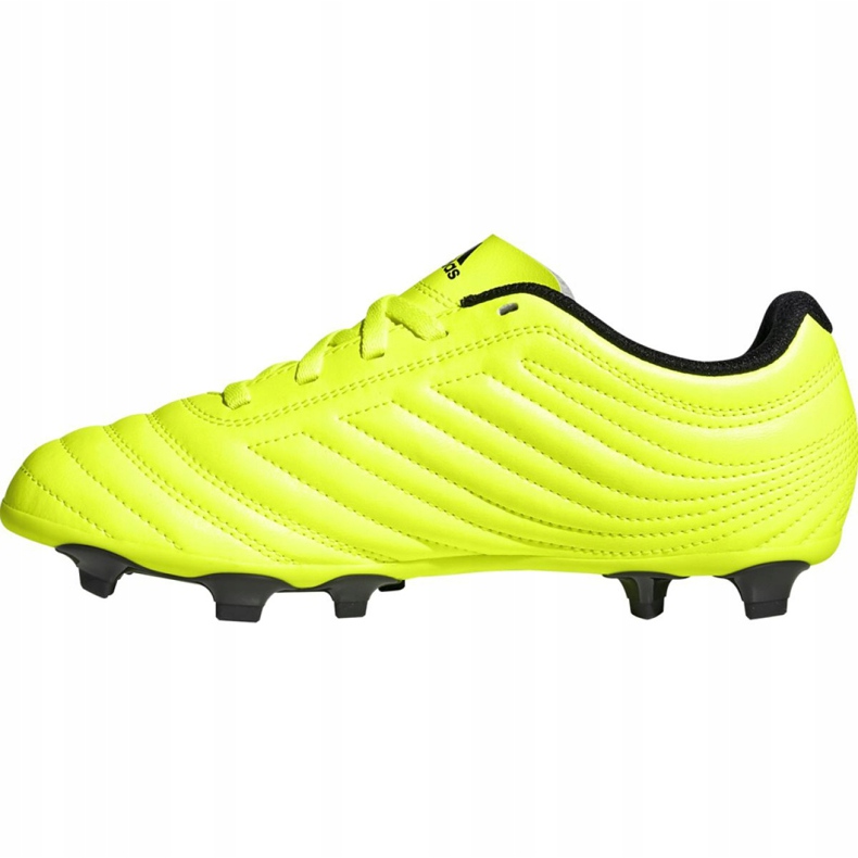 Adidas Copa 19.4 Fg Jr F35461 fotbollsskor gul gul 2