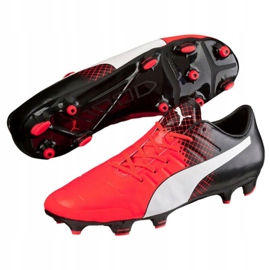 Fotbollsskor Puma Evo 2.3 Fg M 103853 01 svart svart 2