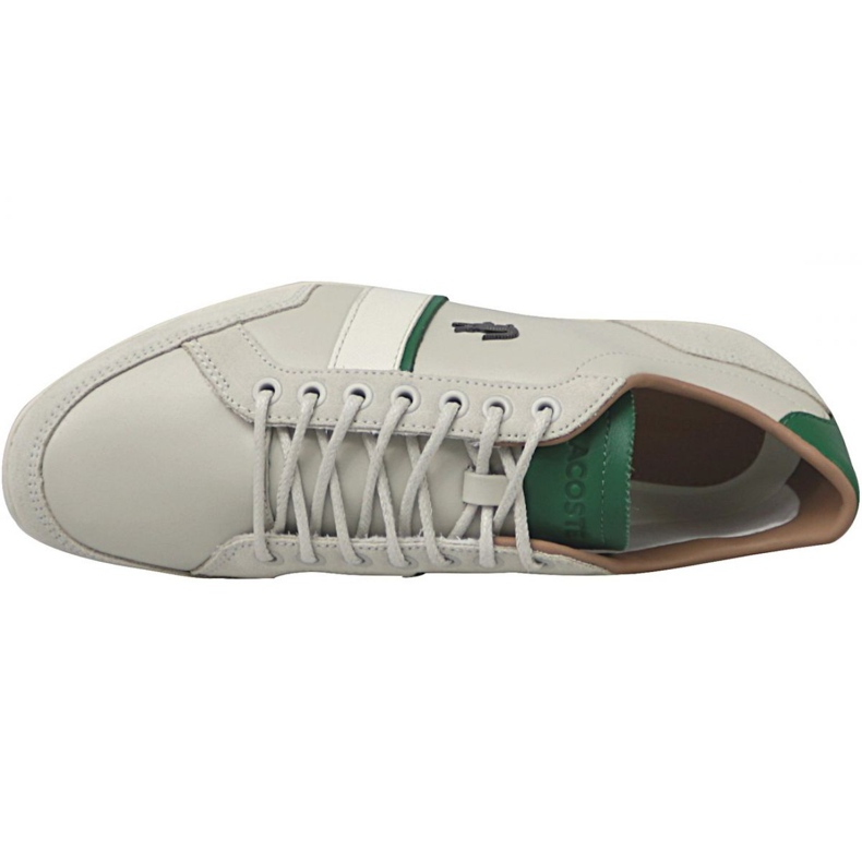 Lacoste Alisos 117 1 M CAM1018098 mångfärgad 2
